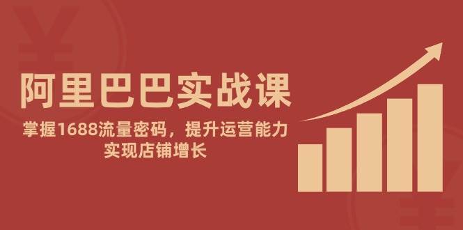（14830期）阿里巴巴实战课：掌握1688流量密码，提升运营能力，实现店铺增长-非常互娱