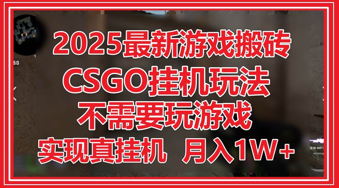 （14743期）2025最新游戏搬砖，CSGO挂机，不需要玩游戏，实现真挂机，月入1W+-非常互娱