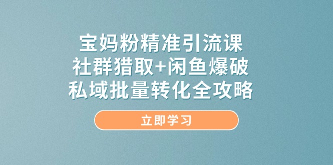 （14820期）宝妈粉精准引流课，社群猎取+闲鱼爆破，私域批量转化全攻略-非常互娱