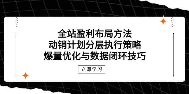 （14698期）全站盈利布局方法：动销计划分层执行策略，爆量优化与数据闭环技巧-非常互娱