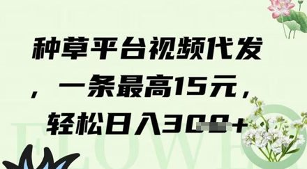 种草平台视频代发，一条最高15元，轻松日入3张-非常互娱
