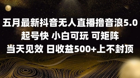 2025五月最新无人直播撸音浪单日产出5张+实操教程【揭秘】-非常互娱