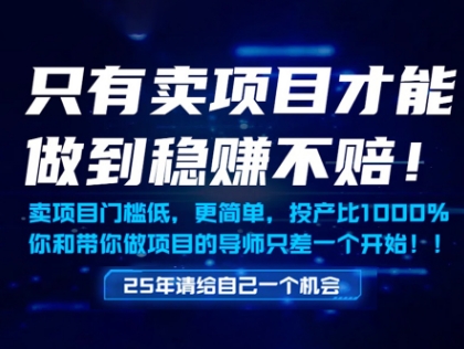 只有卖项目才能做到稳挣不赔，门槛低，更简单，你也可以年入百个W【揭秘】-非常互娱