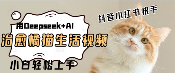 疯狂火爆，用Deepseek+AI做治愈橘猫系列视频，小白轻松制作+快速拿到结果-非常互娱
