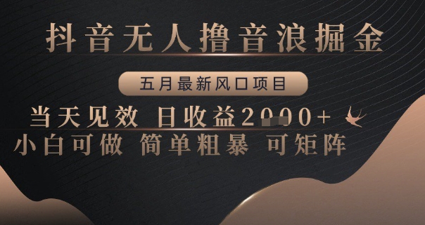 抖音无人撸音浪掘金，五月最新风口项目，当天见效，日收益多张，小白可做简单粗暴可矩阵【揭秘】-非常互娱