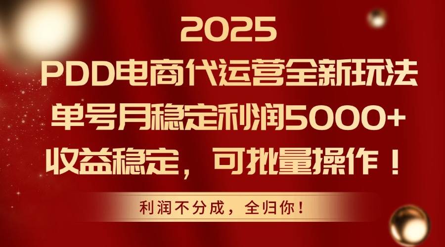 （14839期）2025PDD电商代运营全新玩法，单号月稳定利润5000+，收益稳定，可批量操作-非常互娱