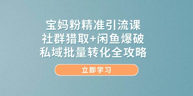 宝妈粉精准引流课，社群猎取+闲鱼爆破，私域批量转化全攻略-非常互娱