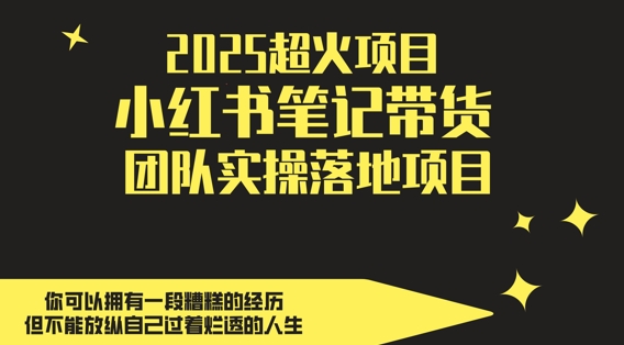 2025超火项目，副业最佳选择，小红书笔记带货团队实操落地项目，，轻松日入5张-非常互娱