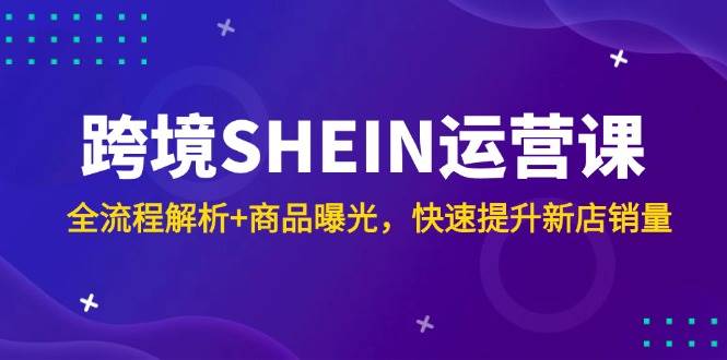 （14832期）跨境SHEIN运营课，全流程解析+商品曝光，快速提升新店销量-非常互娱