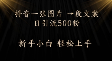 每天2分钟，抖音一张图片 一段文案日引流500粉-非常互娱