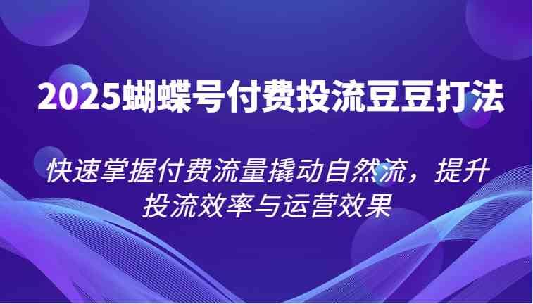 2025蝴蝶号付费投流豆豆打法，快速掌握付费流量撬动自然流，提升投流效率与运营效果-非常互娱