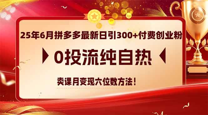 （14989期）25年6月拼多多最新日引300+付费创业粉，0投流纯自热 卖课月变现六位数方法-非常互娱